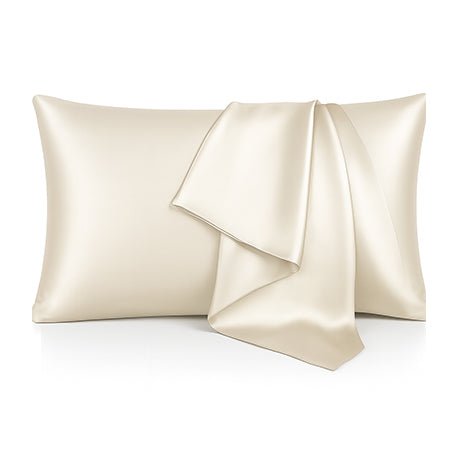 22 Momme 100% Mulberry Silk 6A Grade Pillowcase - Nure Dubai